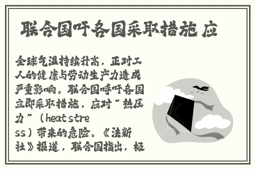神秘电影5条官方路径免费