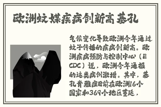 欧洲Zoom人与Zoom